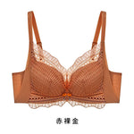 Autumn Winter Women's Lace Underwire 2024 Push Up Bra Sexy Underwear Bras for Women Bralette Lace Bra Lingerie Intimates SWD9021