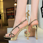 BIGTREE Classic Black Ankle Strap Stiletto Heels Round Toe Open Toe High Heels Women's Versatile Dress Shoesfor All Occasions