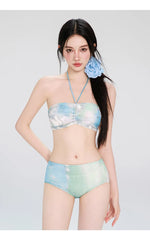 Split Swimsuit Women's Four Piece Set Slimming Ins Style Sexy Hot Spring Bath New Swimsuit