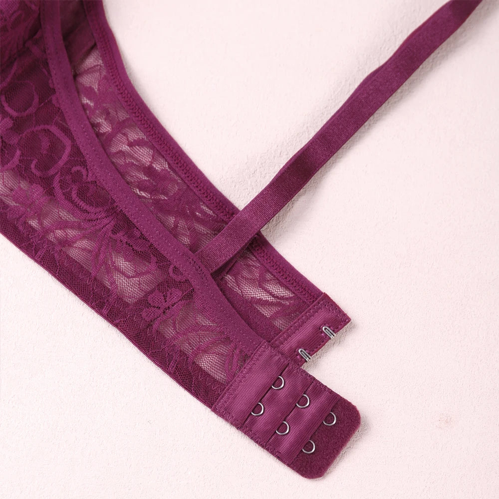 Sexy Lace Bras Transparent Ultra-Thin Sissy Lingerie Bra for Women See Through Embroidery Hollowed Out Brasserie A B C D DD Cup