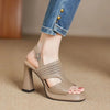 2026 Women's Thick Heel Sandals Summer Hollow Waterproof Platform High Heels Fish Mouth