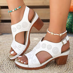 Women's Fashion Chunky Heel Sandals Buckle Strap Casual Summer Shoes Woman Comfort Thick Heeled