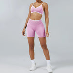 2PCS Yoga Suit Seamless Sports Set Gym Outfits Women Tracksuit Running Workout Clothes Sports Bra Athletic Wear Yoga Clothing