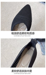 2025 Women Pointed Toe Flats Breathable Fabric Spring Summer Flat Shoes Soft Sole Slip-on Girls Daily Walking Driving Loafers
