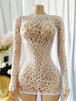 Women Sheer Mesh Long Sleeve Beach Cover Up, Sexy See-Through Fishnet Dress, Solid BodyconFor Summer Beach Party