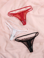 3 Pcs Women Embroidered Thong Sexy G-string Lace Mesh See-through Low Rise Elegant Seductive Lingerie C857
