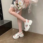 Fashion Crystal Buckle Platform Sandals Women Pink Embroidery Thick Heels Sandalias Mujer Comfortable Heightened Rome Sandals