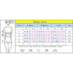 Push Up Bikini Sexy Women Swimsuit Female Swimwear 2024 Bikini Set Swimming Suit Beachwear Bandeau Brazilian Solid Biquini