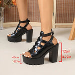 High Heel Sandals Women's Summer New Thick Heel Waterproof Platform Thick BottomFashion Shoesluxury sandals