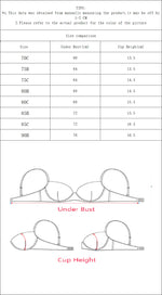 Sexy lace Lingerie ultra-thin semi transparent erotic women's bra French retro underwear black brassere MR2986