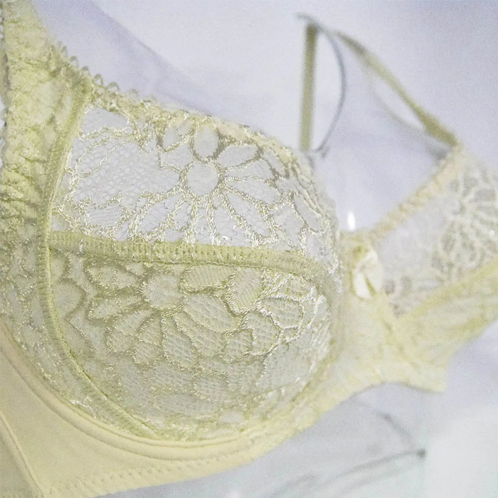 Womens Lace Bras Transparent Underwire Bra Sexy Lingerie Underwear Perspective Plus Size Bralette Large Cup 34-44 B C D DD E F