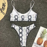2026 Sexy Leopard Brazilian Bikini Female Swimsuit Women Swimwear Two Pieces Bikini Set High Cut Push Up Bathing Suit Swim Lady
