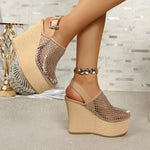 Platforms Sandals WomenWedges High HeelSandals Summer Pointed Toe Fashion Shoes