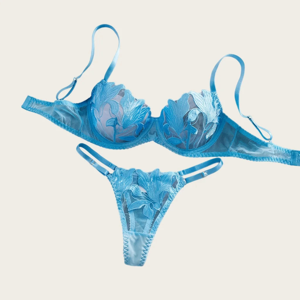 Women's Lingerie Sweety Lace Embroidery Underwear Set Blue Pure Desire Adult Underwear Fancy Transparent Intimate Lingerie Set