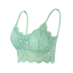 Women's Lace Bra Top Comfortable Bralette Solid Color Sexy Underwear Vest Female Hollow Out Wireless Lingerie Seamless Brassiere