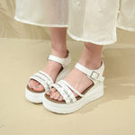 Casual Sandals Women Buckle Strap Summer Beach Ladies Thick Soled Shoes