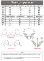 Women's sexy embroidered lace lingerie set with steel ring gathering push up daily casual close fitting bra set B2076