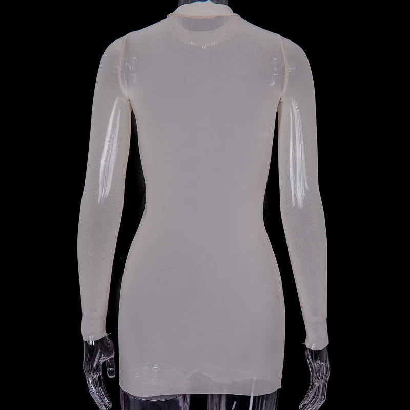 Women Mesh Dress Spring Autumn Sexy Sheer Mesh Long Sleeve Package Hip Sheath Dress Lady Sexy Club Body Wrap Mini Short Vestidos