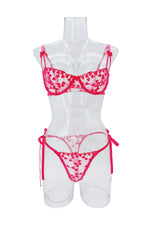 French Lace Heart Bra Set Girls Sexy Women Bralette Adjustable Transparent Embroidery Underwear Thong Bras Lingerie Panties Sets