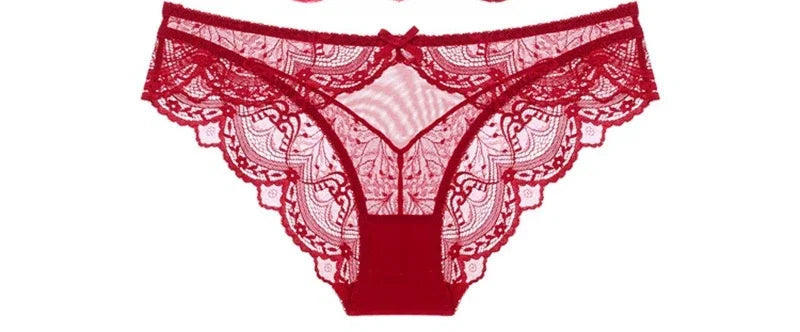 MOYISU Pure Desire Lace Bra Set Women Sexy Anti-Sag Push Up Bralette Sheer Underwear for Big/Small Chest Comfort Support