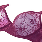 Plus Size Sexy Lace Bras For Women Underwired BH Hollow Out Bra Bralette Womens Underwear Delicate Embroidery Lingerie Brassiere
