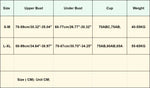 Floral Lace Bras Women Bralette Non-wire Bra Push Up Underwear Back Buckle Brassiere Female Sexy Lingerie