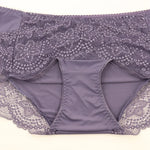 Beauwear Plus Size Women's Underpants Female Panties Comfort Intimates Lace Underwear Briefs Ice Silk Hollow Out Sexy Lingeries