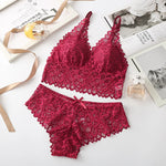 Women Lace Bra and Panties Set V-Neck Hollow Lace Underwear Set Embroidery Scallop Edge Bralette Sexy Lingerie Set Intimates