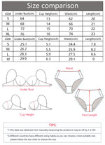 Sexy Black Lingerie and Panty Set – Sheer lace bra leopard print Pattern women Underwire Romantic Elegance A3135