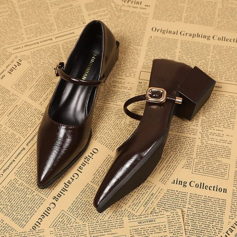 Elegant Pointed Toe Women Heels Shoes Chunky Fashion Heeled Sandals Summer 2026 Fashion Party Pumps New Dress Muejr De Sandalias