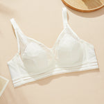 Sexy Thin Hot Bra for Women Lace Flower Mesh Bra 70 75 80 85 ABC Small Chest Unlined Push-up Bra FW7040