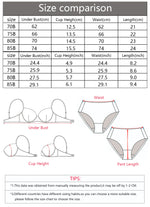 2Pcs Sexy Floral Eyelash Lace Bra Set For Women Bow Decor Mesh Patchwork Daily Valentine Lingerie Underwea MR3674