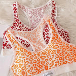 Seamless Bra Set Women Leopard Y-Shape Wireless Bra Low Waist Panties Sexy Lingerie Sport Brassiere Female Underwear Set