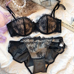 French Underwear Set Sexy Eyelash Lace Embroidery Bra Set Women 1/2 Cup Push Up Bras Small Breast Lingerie and Panties Set