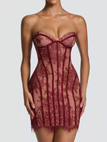 Lace Detail Tube Mini Dress