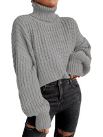 Chuny Knit Turtleneck Long Sleeve Sweater