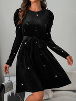Glitter Round Neck Puff Sleeve Dress