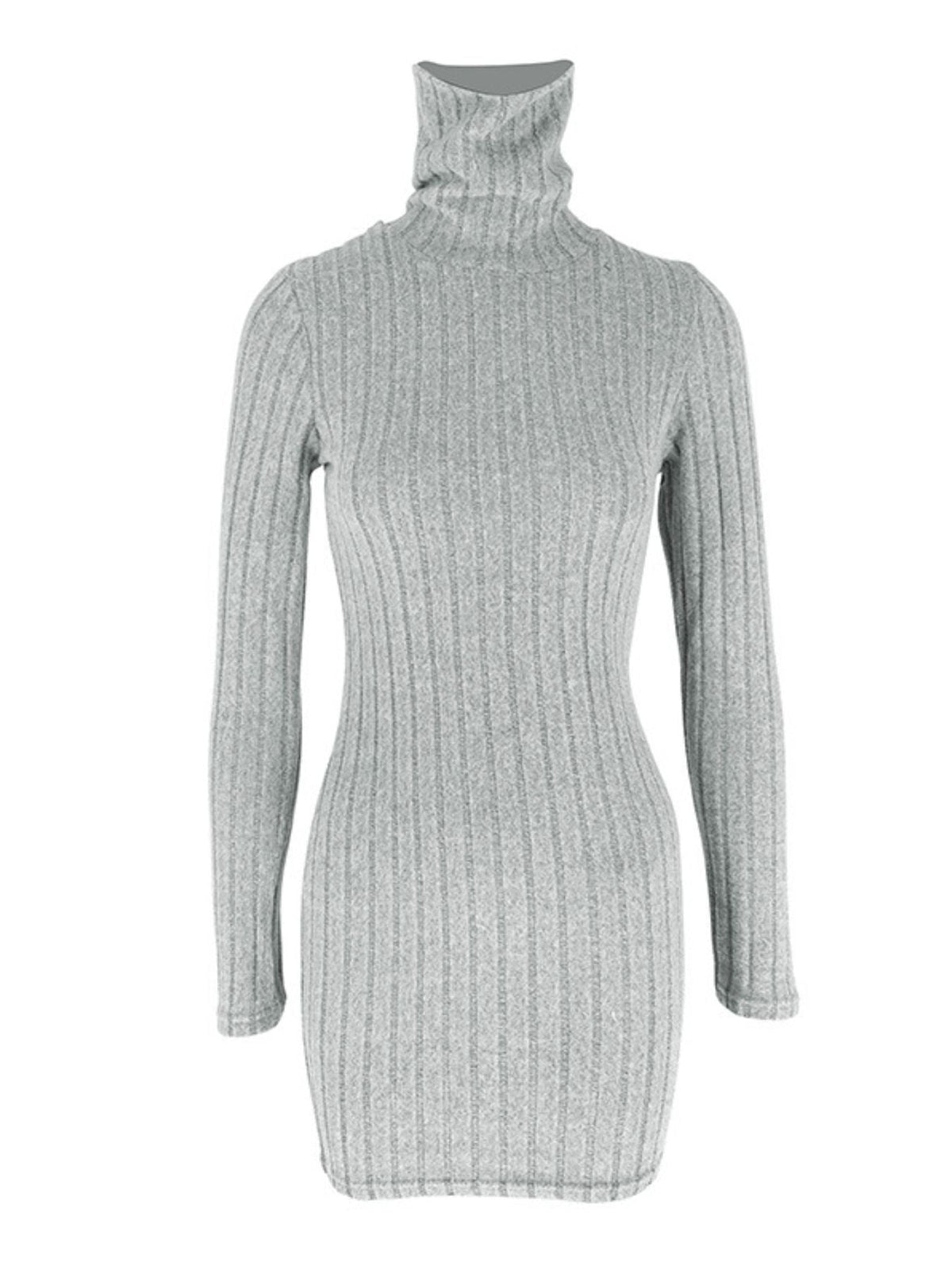 Turtleneck Ribbed Bodycon Mini Dress