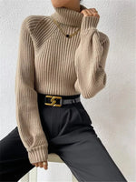 Ribbed Knit Turtleneck Sweater