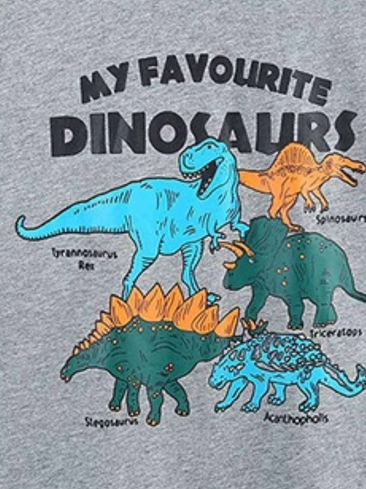 Children's Dinosaur Graphic Round Neck Tee