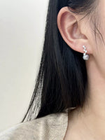 925 Sterling Silver Zircon Earrings