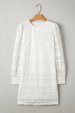 Lace Long Sleeve Mini Dress