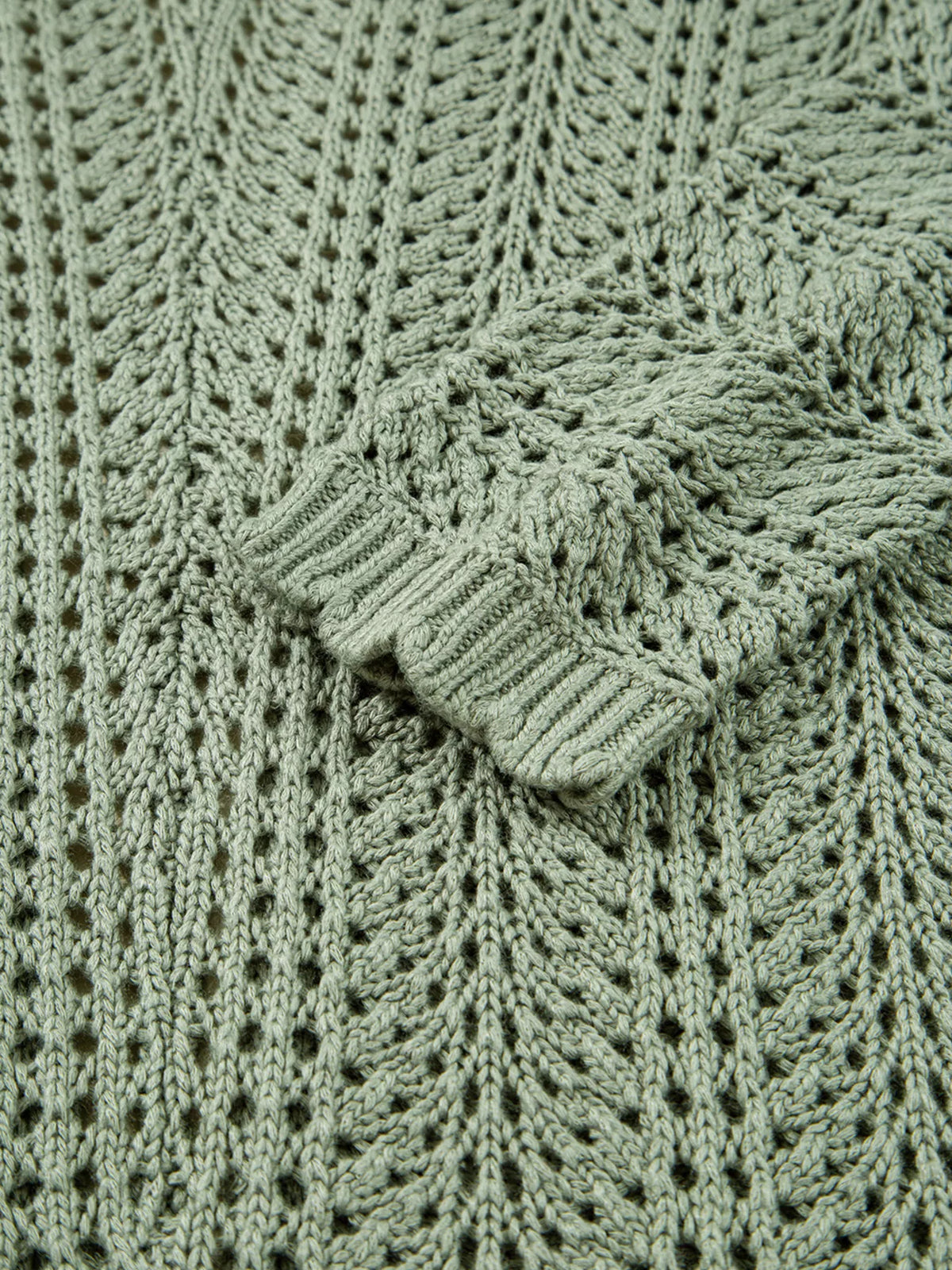 Scalloped Edge Eyelet Knit Batwing Sleeve Cardigan