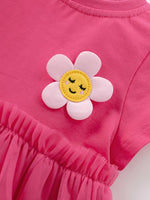 Children's Cute Flower Applique Tulle Layered Dress