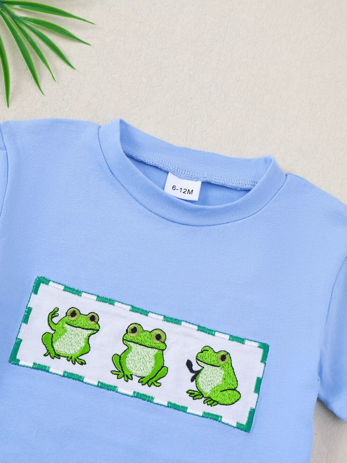 Children's Frog Short Sleeve T-Shirt & Shorts Set