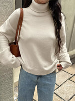 Turtleneck Long Sleeve Sweater
