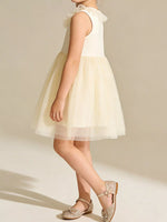 Children's Ruffled Collar Tulle Dress