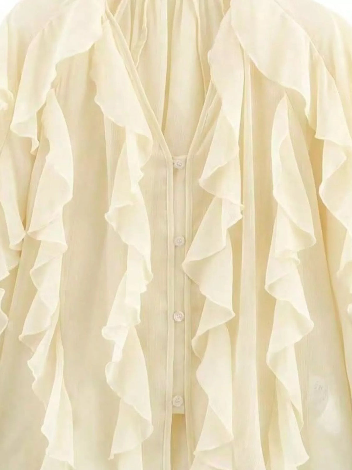 Ruffled Sheer Long Sleeve Blouse