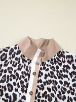 Striped Collar Leopard Print Long Sleeve Flared Dress