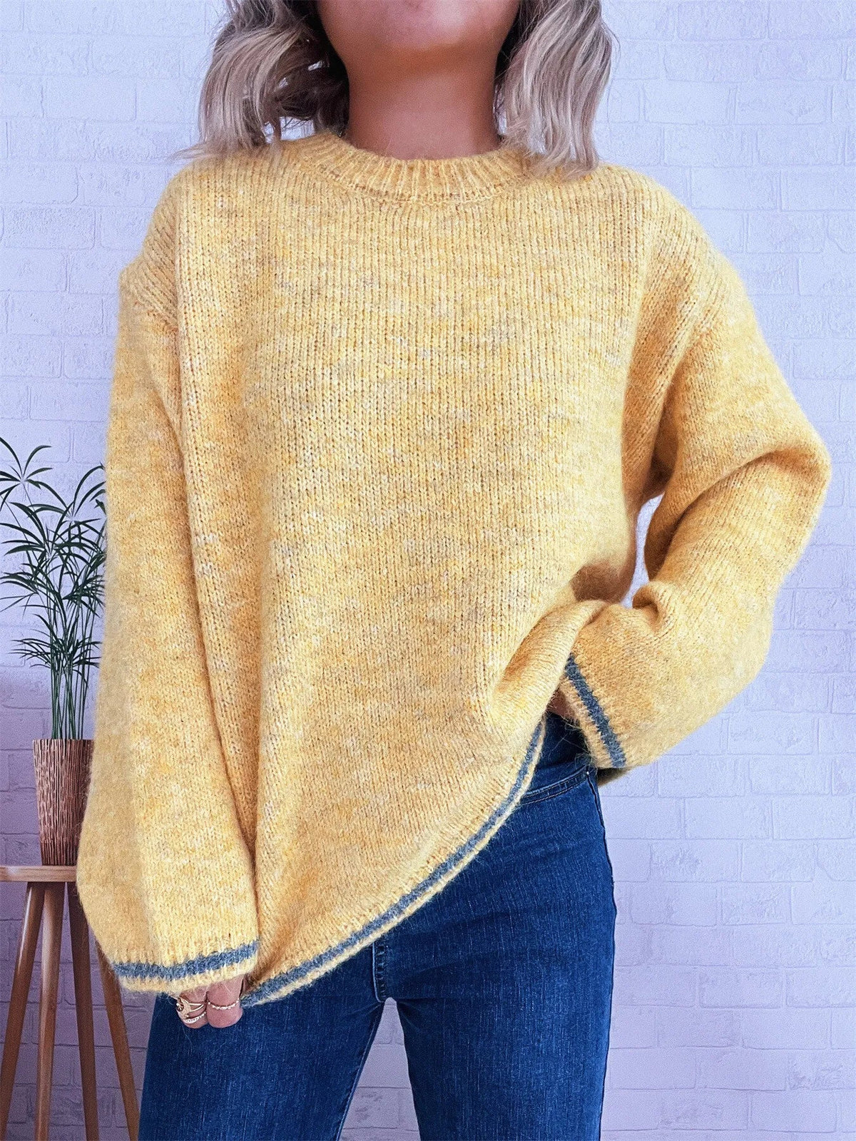Contrast Trim Round Neck Cozy Sweater